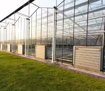 Venlo Type Greenhouse